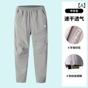 St@EFA@X|[c ėp St qp  pc j̎q ̎qp Cg ^ ^ ʋC