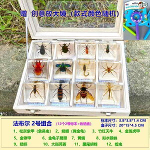 @@tBMA qp  W{   Mtg {bNX   F z^ Ȋw  