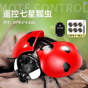 @@tBMA d V~[V ĂƂ R U  2 q  36΂ j̎q ̎q q 1