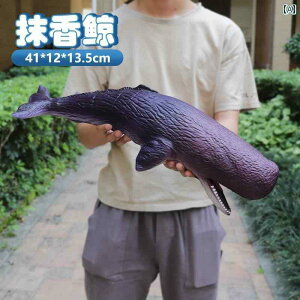 @@tBMA ^ V~[V }bRENW \tg WF Cm     T CJ qւ 蕨