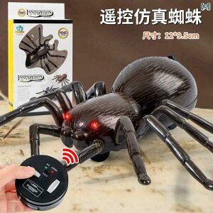 @@tBMA R 傫 N d V~[V  j̎q 13΂ q  X}[g 0  ̎q Ԃ 2