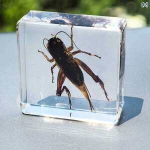 @@tBMA  W{ JugV N n` RIM     w RNV {bNX ܕi