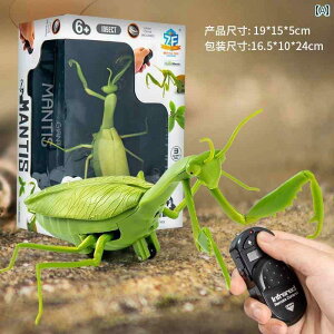 @@tBMA R J}L d V~[V  gbN SLu j̎q  N  Ԃ ঒ޏ 