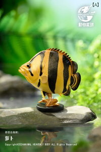 @@tBMA Aj}vlbg n[g Ch{fB 21 oJ hS ^CK[ tBbV  VE  }uL p  ͌^