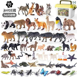 @@tBMA  E  Cm q   Fm V~[V Tt@ j̎q ̎q ߋ