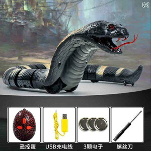 @@tBMA V~[V R  Ru q   pfB[ lbg  dC   j̎q