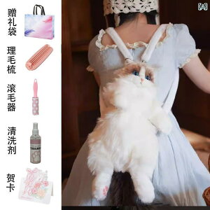 ʂ݁@l`@@ V~[V Oh[ L obN pbN qL l` h[ ʂ  q ̎q a VN Mtg