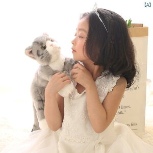 ʂ݁@l`@@ 킢 V~[V  IWF ʂ l` p Z  L Ԃ a v[g