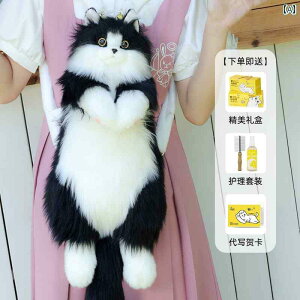 ʂ݁@l`@@   V~[V  L 킢  l` w ʂ Ԃ a v[g  obO