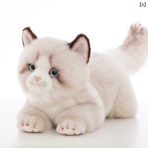 ʂ݁@l`@@ Rbg }`[Y l` V~[V q   ʂ  ybg  Mtg