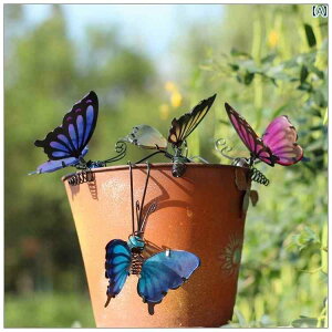 @@fBXvC AJ Jg[ O K[f fR[V eX  [h ACA o^tC y_g oRj[ CAEg 