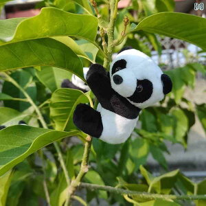 @@fBXvC A y_g  Nbv Ȃ p_ Xe l` s   ݂邷 Ƃ ł܂