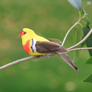 @@fBXvC V~[V H  II[ Jt tH[ A  K[fjO   Ƃ