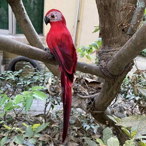 @@fBXvC  V~[V  H  Jt IE tFCN i     y_g