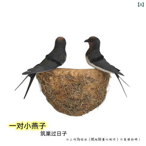 @@fBXvC V~[V co   ǂ  V[h   lH Ǌ| ƒp  