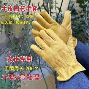 K[fjO@@ v Z h n ی ܁B | o    o Ӟ  I ނ ϖՁB