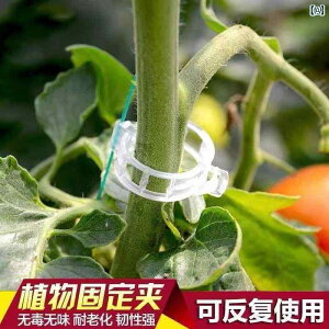 K[fjO@@ } LE w`} g}g  ݂ A Œ Nbv  | oR  obN