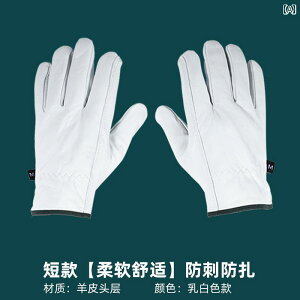 K[fjO@@ h h~   h Ƃ | A o    o R lN^C h 