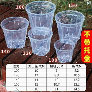 K[fjO@DIY@@  x      R  } ʋC  J[ [  Lh vX`bN  A}X Aؔ