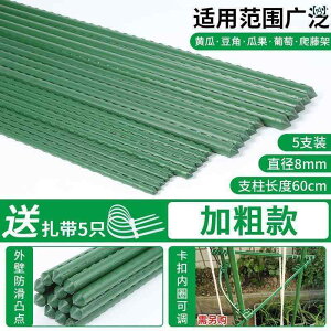 K[fjO@DIY@@ NC~O bN t[ vX`bNR[eBO | o  g}g LE K[fjO Œ |[ uhE A T|[g