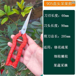 K[fjO@DIY@@ TK _ ʕ E  uhE    k Ӟ