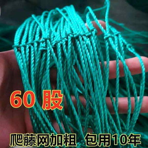 K[fjO@DIY@@ A 鐫 lbg  ʕ w`} S[ nMO  uhE JX E  pbVt[c