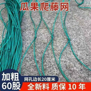 K[fjO@DIY@@ Ap oR lbg   ʕ w`} S[ nMO  uhE JX E p pbVt[cp