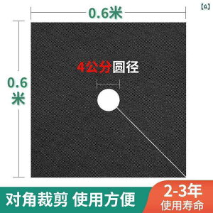 K[fjO@DIY@@ ԊwI G h~ z _ ʎ ێ Jo[  rE̎ }` tB