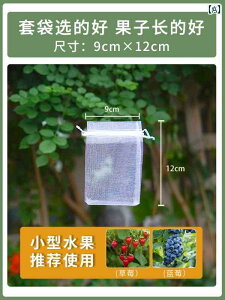 K[fjO@DIY@@ ʕ  lߗp   悯 iC  bVobO uhE  UN C`S C`WN jo[T