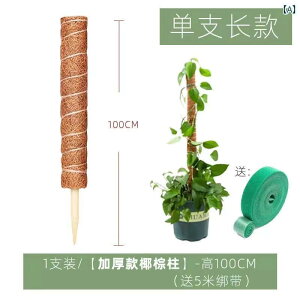 K[fjO@DIY@@ RRV _ ΂ 卪  pC A t[ bN oRp t[ X^[ | x RRibc VN ۂ  V v