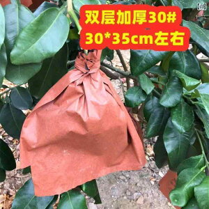 K[fjO@DIY@@ O[vt[c  h  悯 t[c obO _u 30 O w 32    I  U   