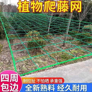 K[fjO@DIY@@  A lbg A bN GbW  t[c w`} S[ nMO  uhE pbVt[c gX _