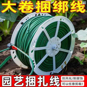 K[fjO@DIY@@ |p  A Ԃ @\  C[ _炩 |p D z