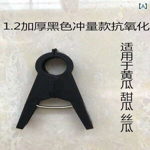 K[fjO@DIY@@ c  Nbv   x ݂  LE g}g