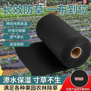 K[fjO@DIY@@ _Ɨp  z A`GCWO  GRW[s D |p   ʎ   