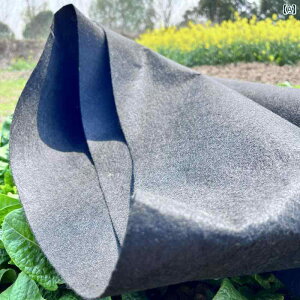 K[fjO@DIY@@ K[fjOt[{bNX CjO WIeLX^C A t[ v[ y  Aؔ   ܑ   tB^[ pbh  z