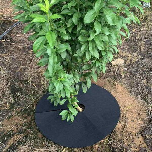 K[fjO@DIY@@  ^ h  z GR }`  ʋC ێ      ʎ s D