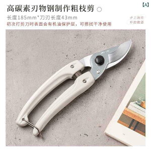 K[fjO@DIY@@ AX̂ M  ͂  }  Œ   Ԃ w p