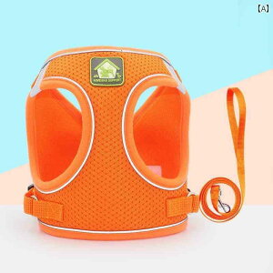 n[lX@p@[h L  [v ɂ xXg X^C EH[LO p V[g Lbg `F[ ybg `FXg Xgbv Oop