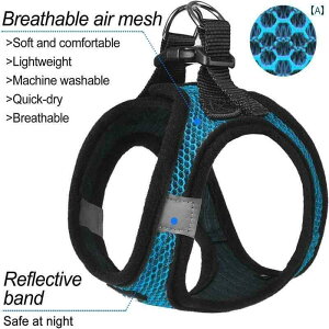 񂿂@n[lX@킢 L  [v qp E h~ n[lX Lp `FXgn[lX EH[LO t xXg^ qL 