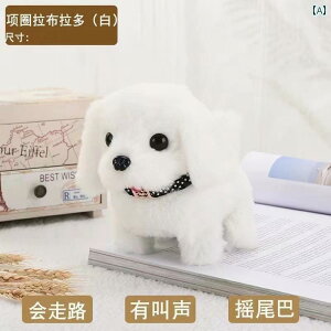 @ʂ݁@ qp d ʂ   i K U肷 Ƃ ł܂ V~[V ybg q l` j̎q ̎qւ 蕨