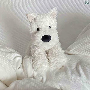 ���@�ʂ�����݁@�������� �z���C�g �E�G�X�g �n�C�����h �e���A �� �l�` ���������� �q�� ���킢�� �ʂ������ ���� �n�O �a���� �M�t�g