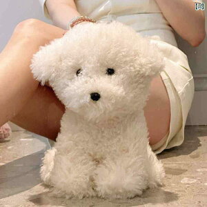 @ʂ݁@  rV l`  V~[V ʂ z ̎q   {[Cthւ a v[g