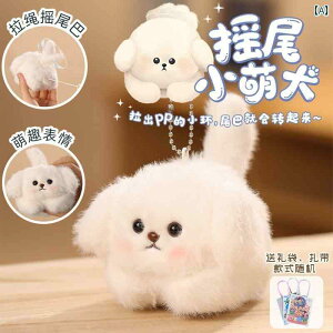 @ʂ݁@ ۂ U  l` Jso y_g  R V{ʂ  ʂ