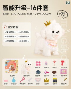 񂿂@l`@ qp d q    i ł V~[V l` Ԃ ybg  ̂ x肷 Ƃ ł