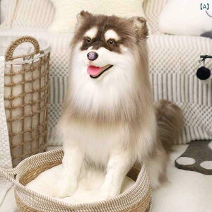 @ʂ݁@ AJ J hE V~[V AXJ hbO h[ ybg pybg ʂ  ㋉ Mtg