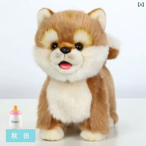 񂿂@l`@ Kemet CeWFg b LO  ʂ V~[V d ybg q j̎q ̎q y q L 