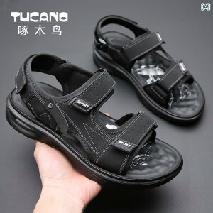 Y T_ Xbp EbhybJ[ T_ Y 2024 r[` V[Y v GA NbV \tg {g