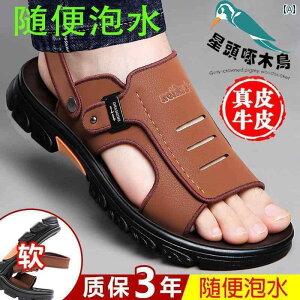 Y T_ Xbp 2025 X^[ wbh EbhybJ[ YT_ v p r[` V[Y ~ _fB