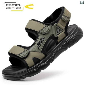 �T���_�� �j���p �J�W���A�� �h�C�c�� �L������ �_�C�i�~�b�N �T���_�� �� ���Y �� �A�E�g�h�A �X�|�[�c �\�t�g �{�g�� �r�[�` �V���[�Y ����~�� �ϖ��� �J�W���A��